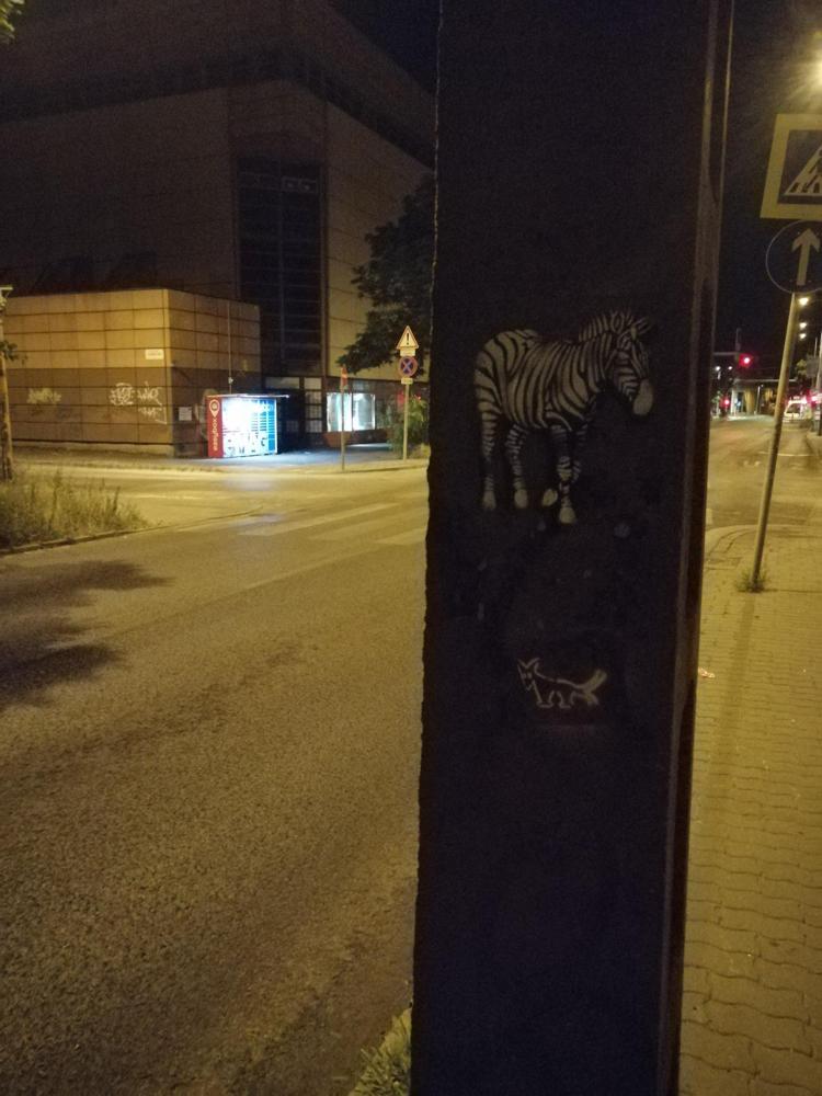 Eltűnő zebra