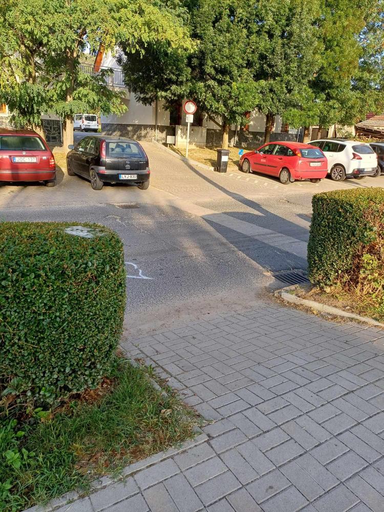 Szükség lenne egy zebrára