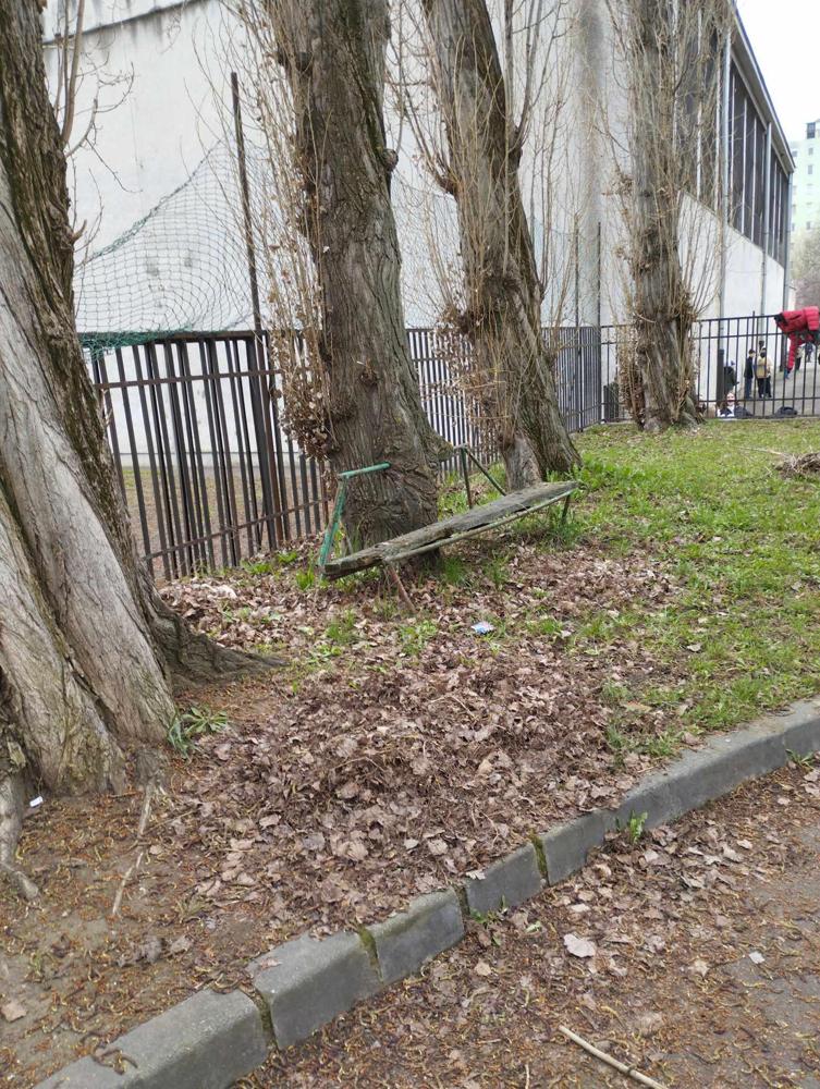 Fába nőtt pad a Kilences iskola mellett