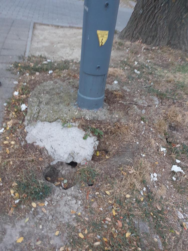 Patkánylak