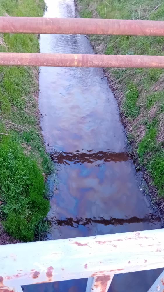 A Rákos-patakon keltünk ma át, amikor láttuk, hogy a víz tetején olajos úszás jön a Bosnyák téri építkezés felől... Pár percig néztük, de nem volt vége.