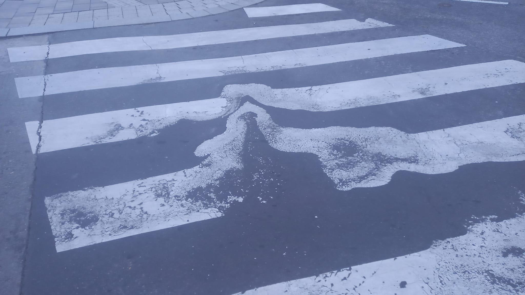 Szellemé vált zebra