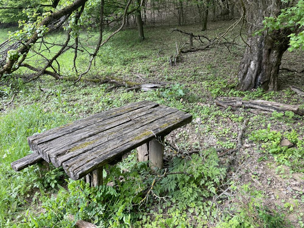 Padok és tűzrakó helyek illetve forrás reparálása 