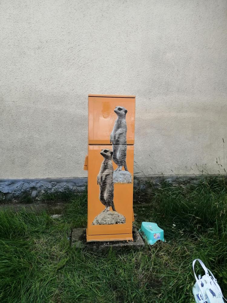Villanydoboz - Tihanyi utca
